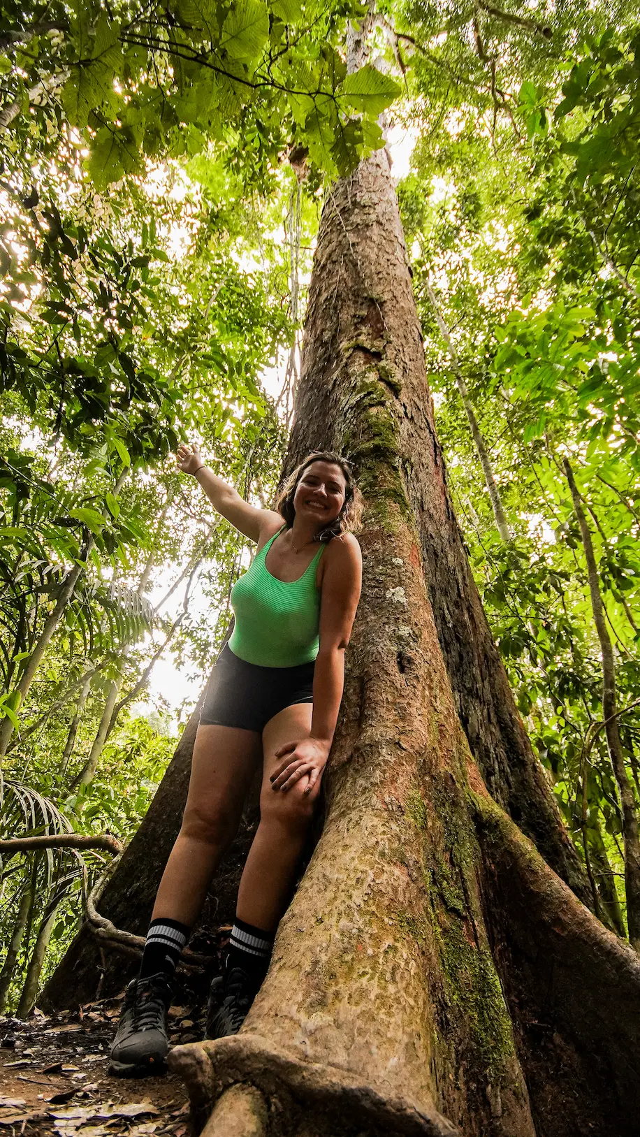 amazonas ()