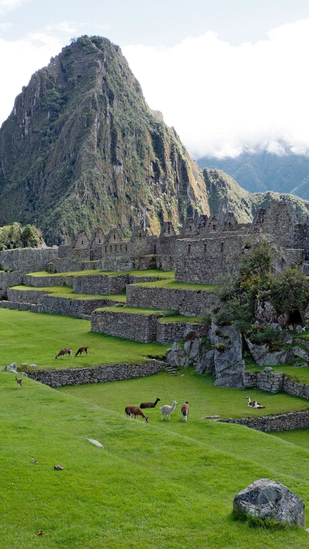 peru ()