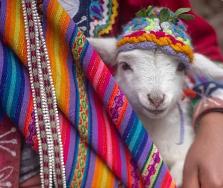 peru ()