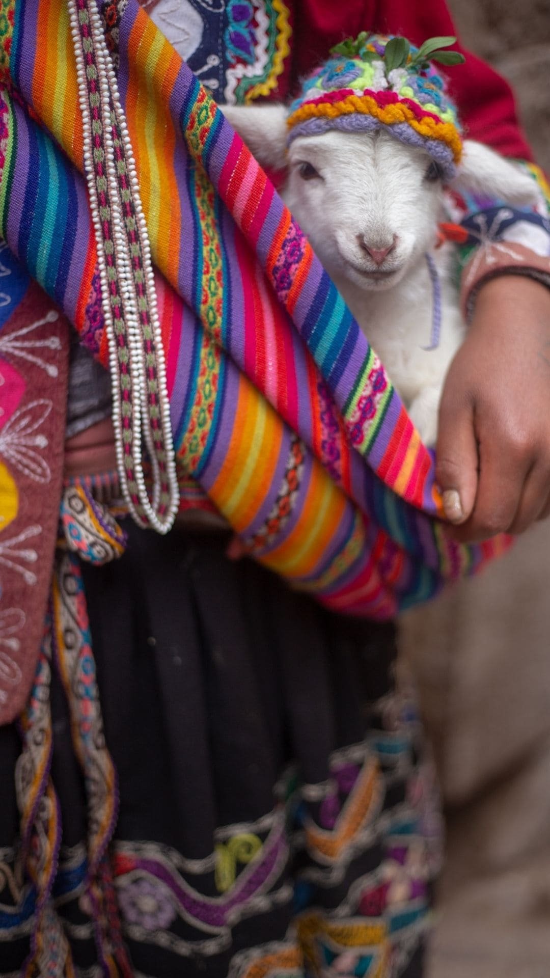 peru () Copia