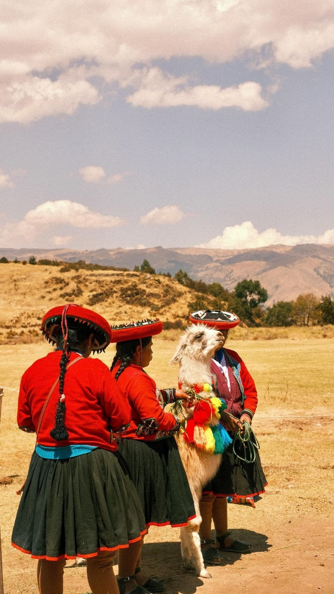 peru () Copia