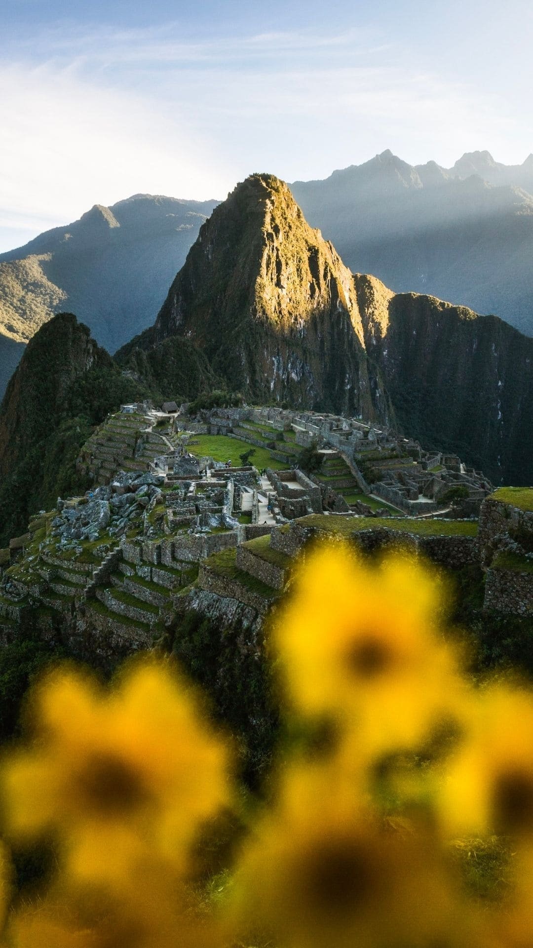 peru () Copia