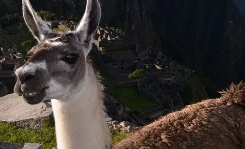 peru ()