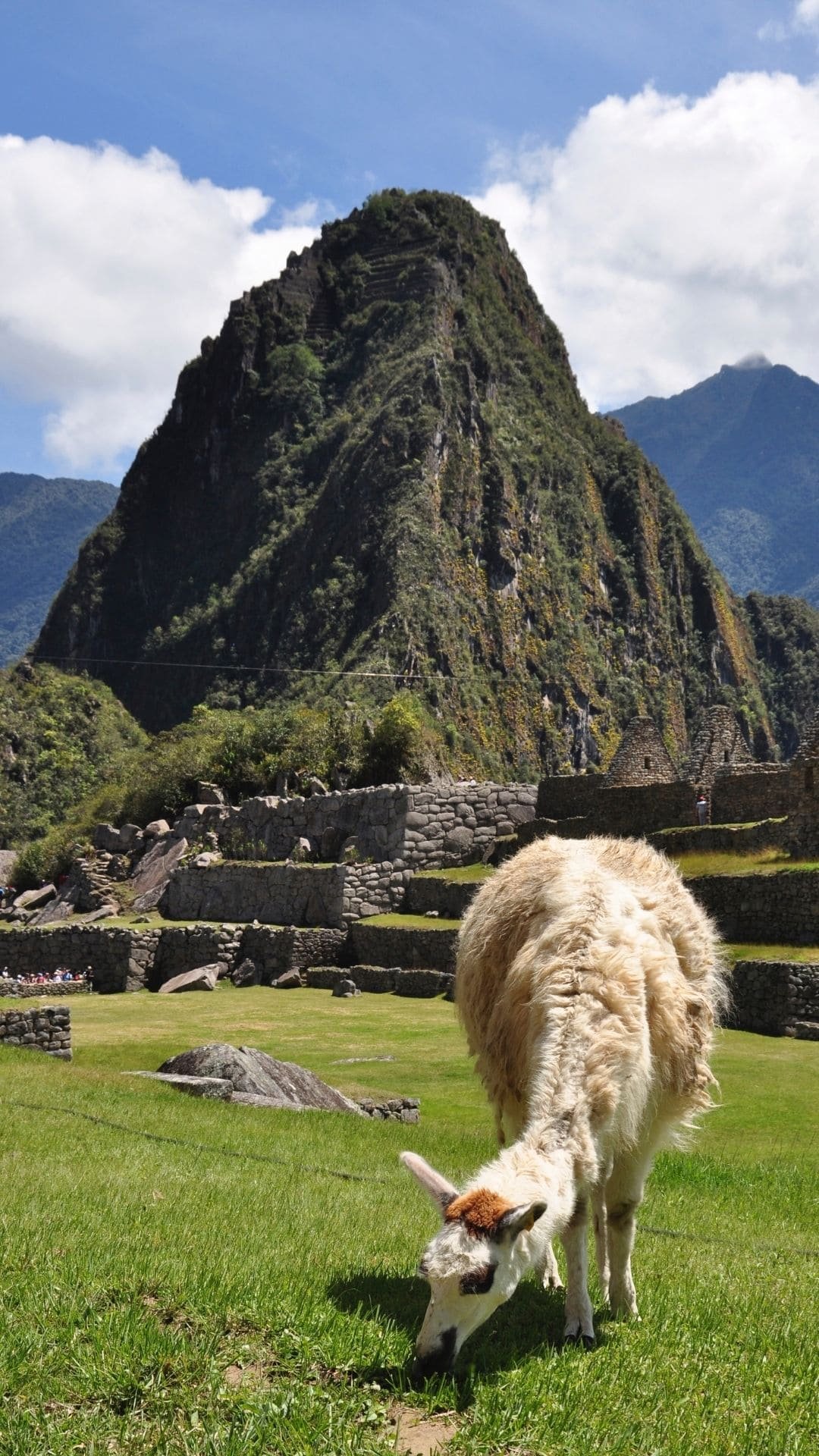 peru ()