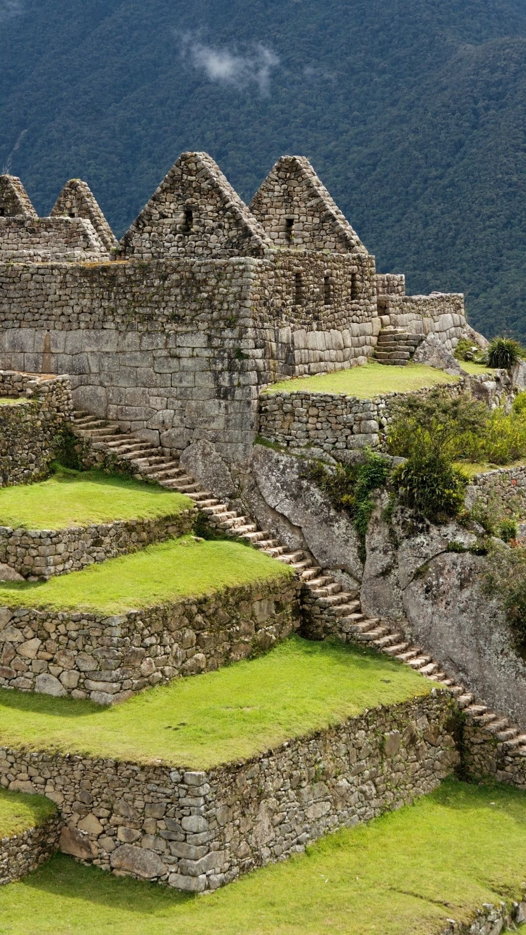 peru ()