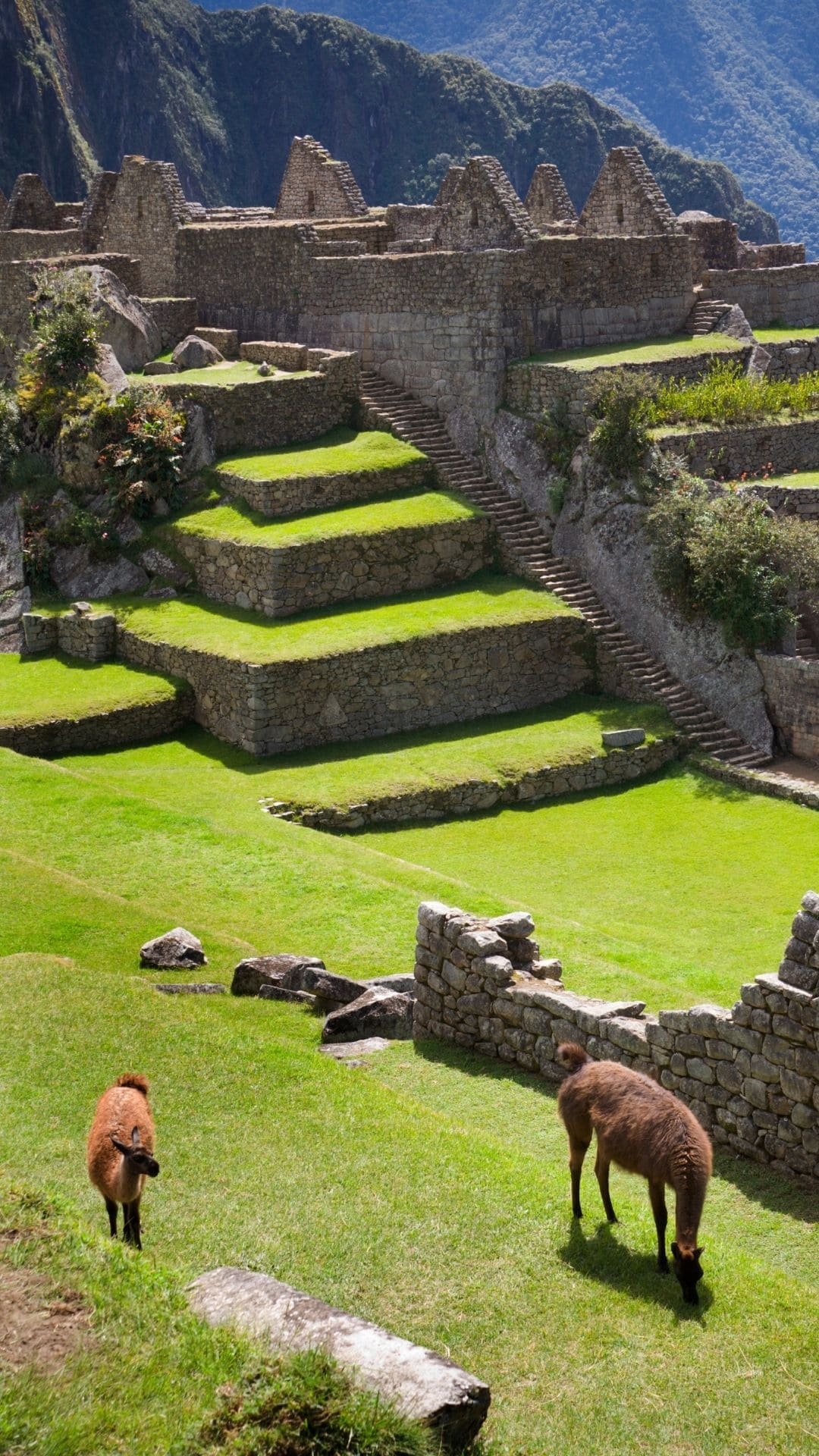 peru ()
