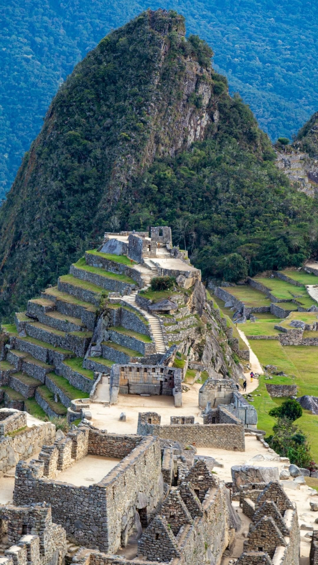 peru ()
