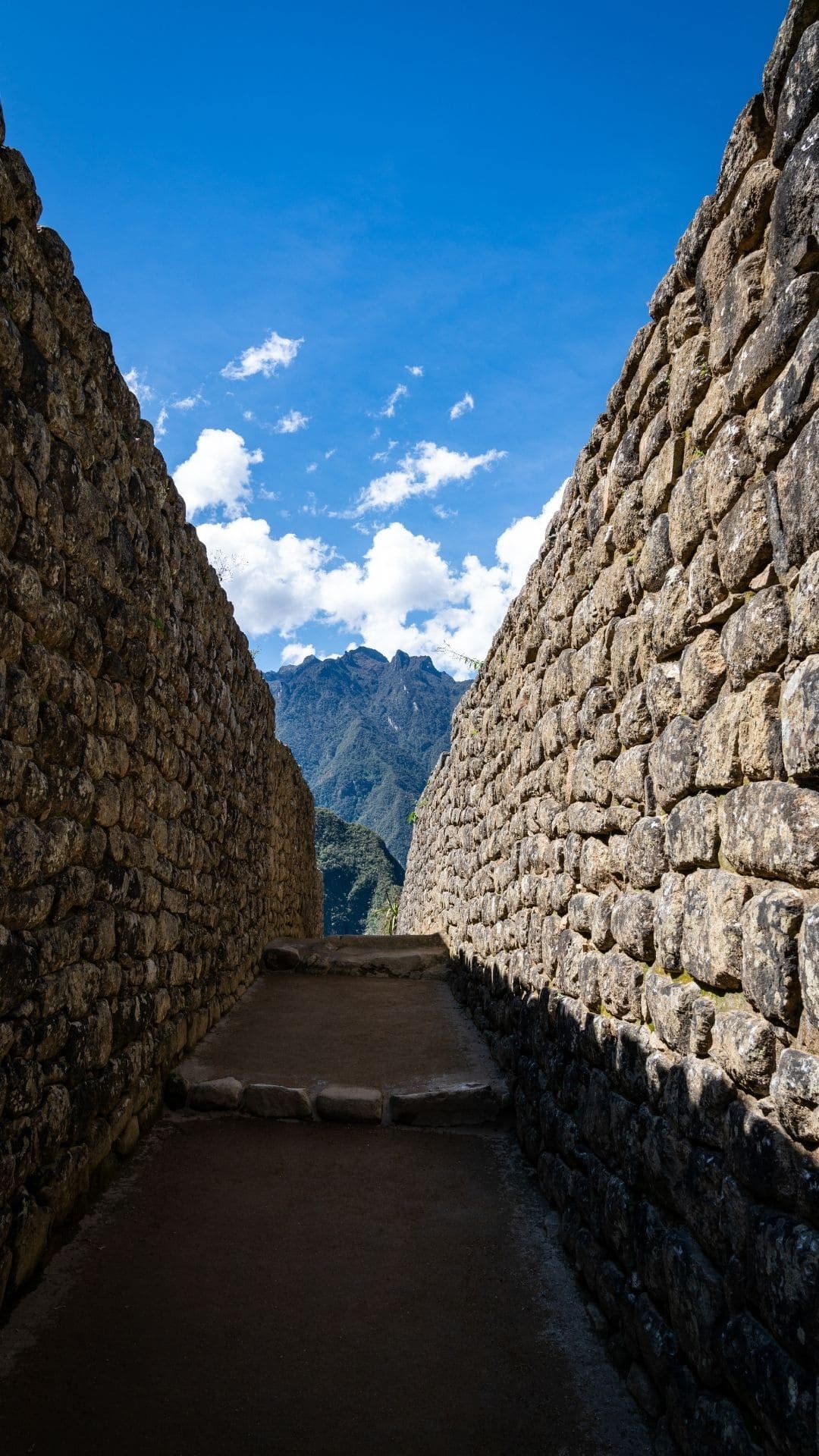 peru () Copia
