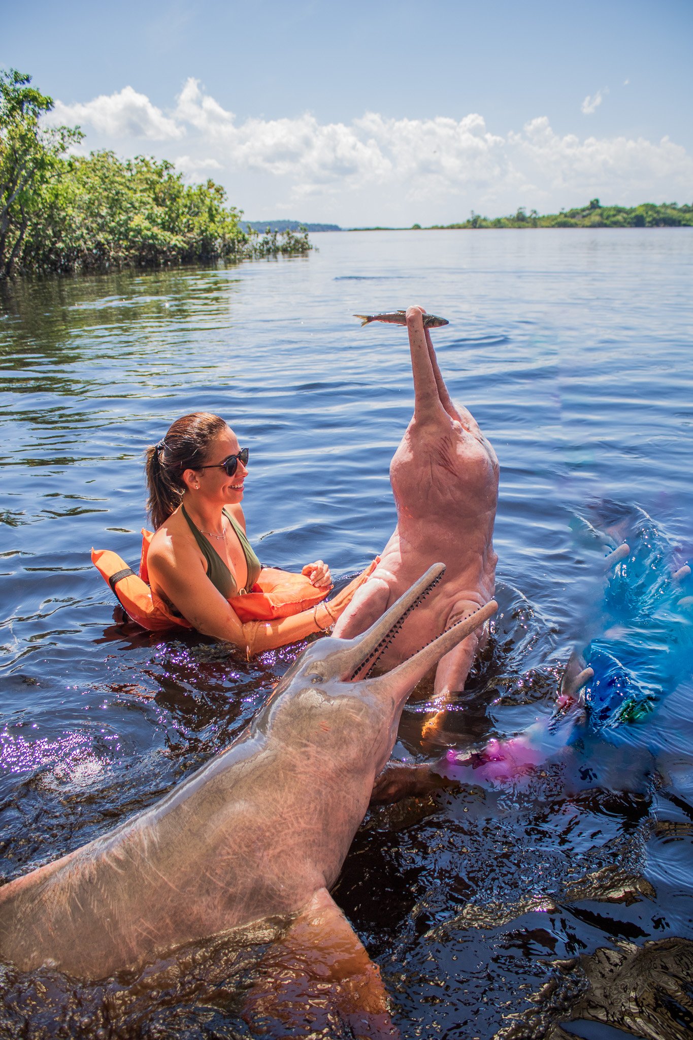 AMAZONAS