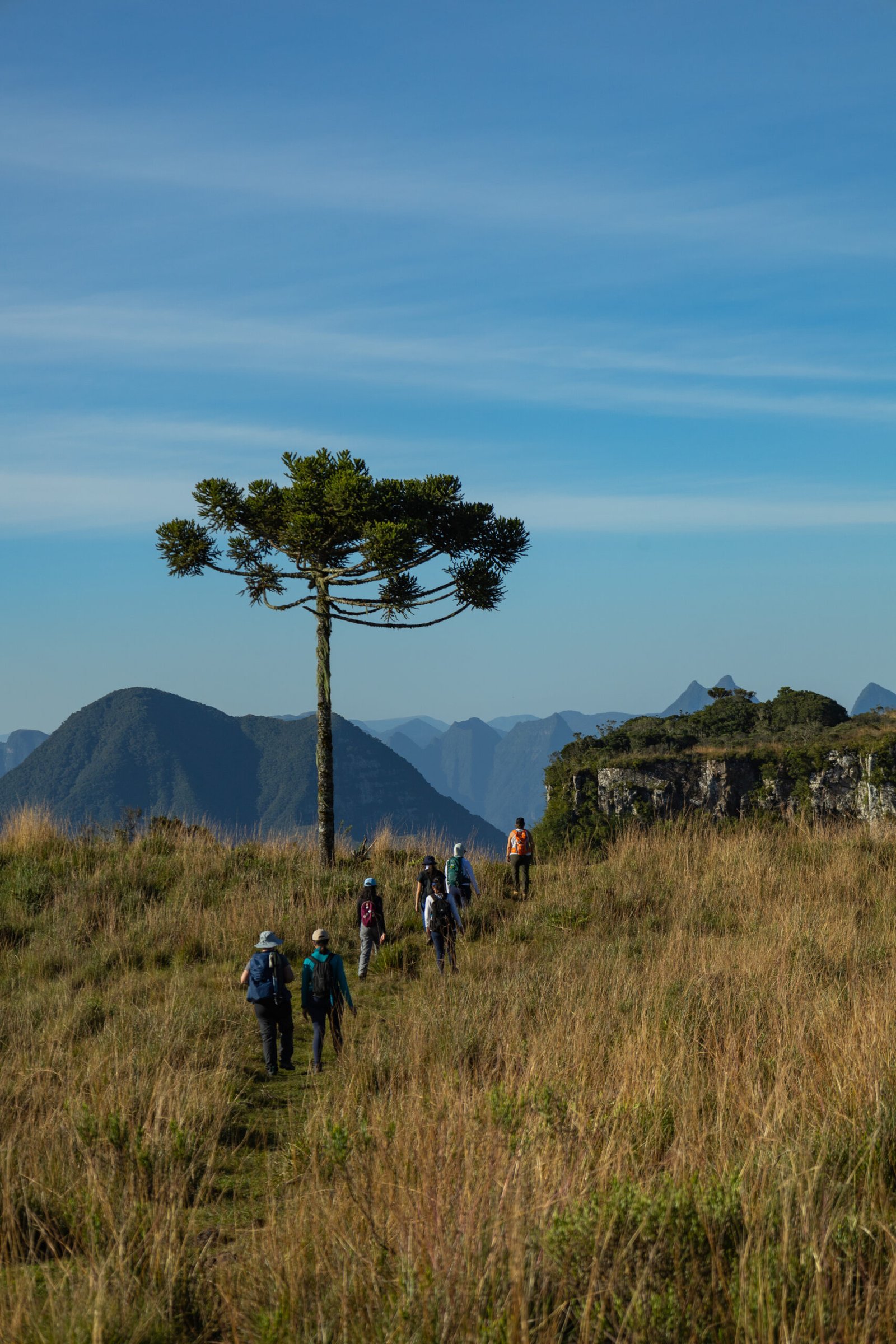 CANIONS DO SUL
